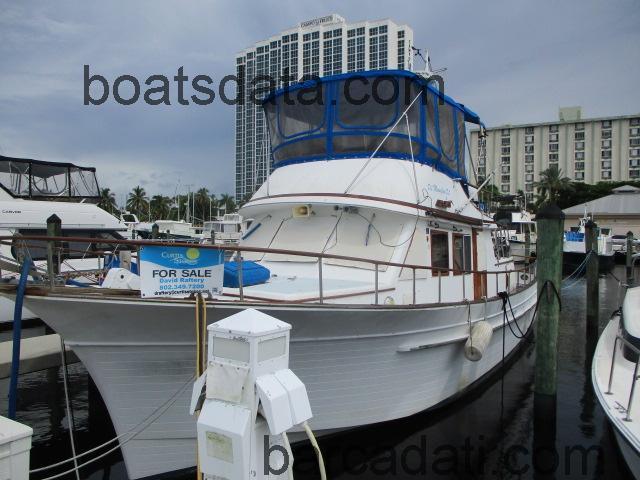 Albin Trawler recensioni e scheda tecnica