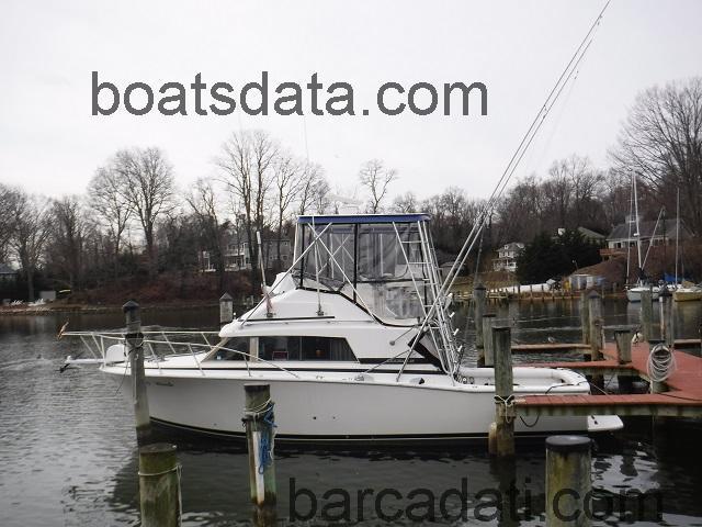 Bertram 33 scheda tecnica 