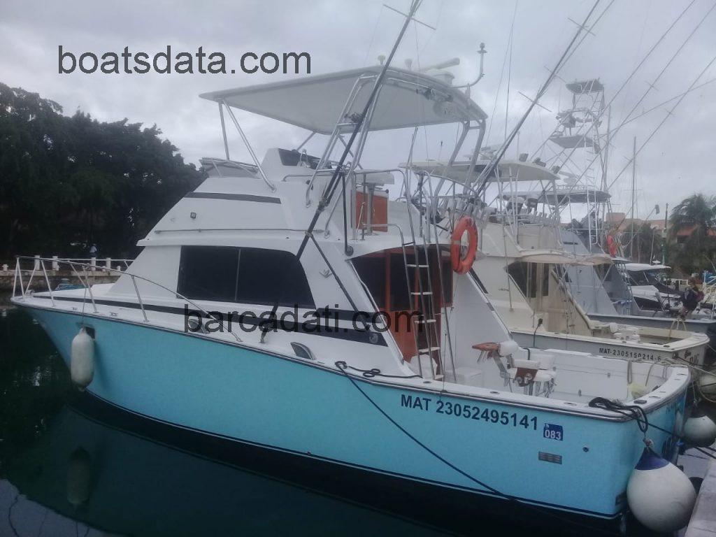 Bertram 38 Convertible recensioni e scheda tecnica