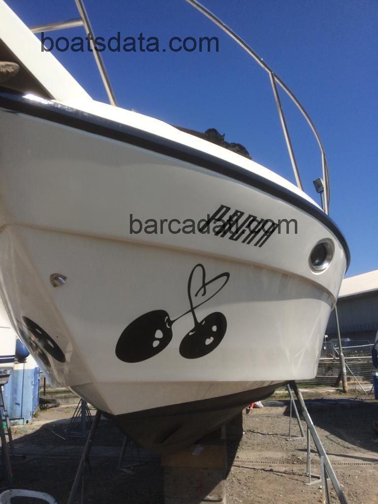 Cranchi Cruiser 32 scheda tecnica 