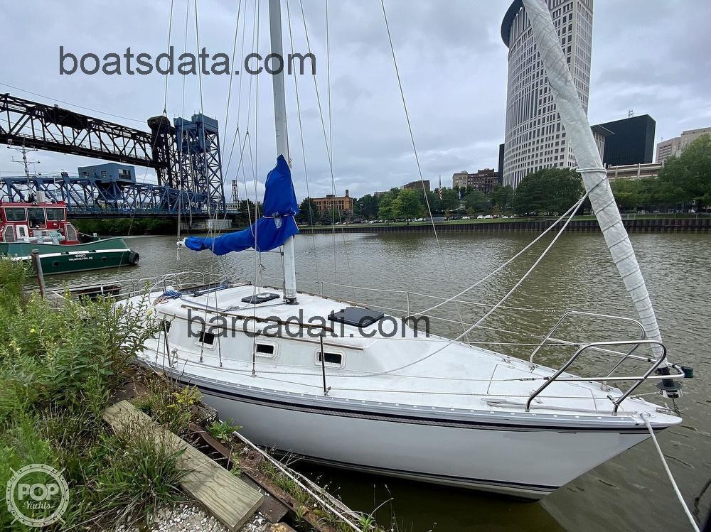 Hunter 31 recensioni e scheda tecnica