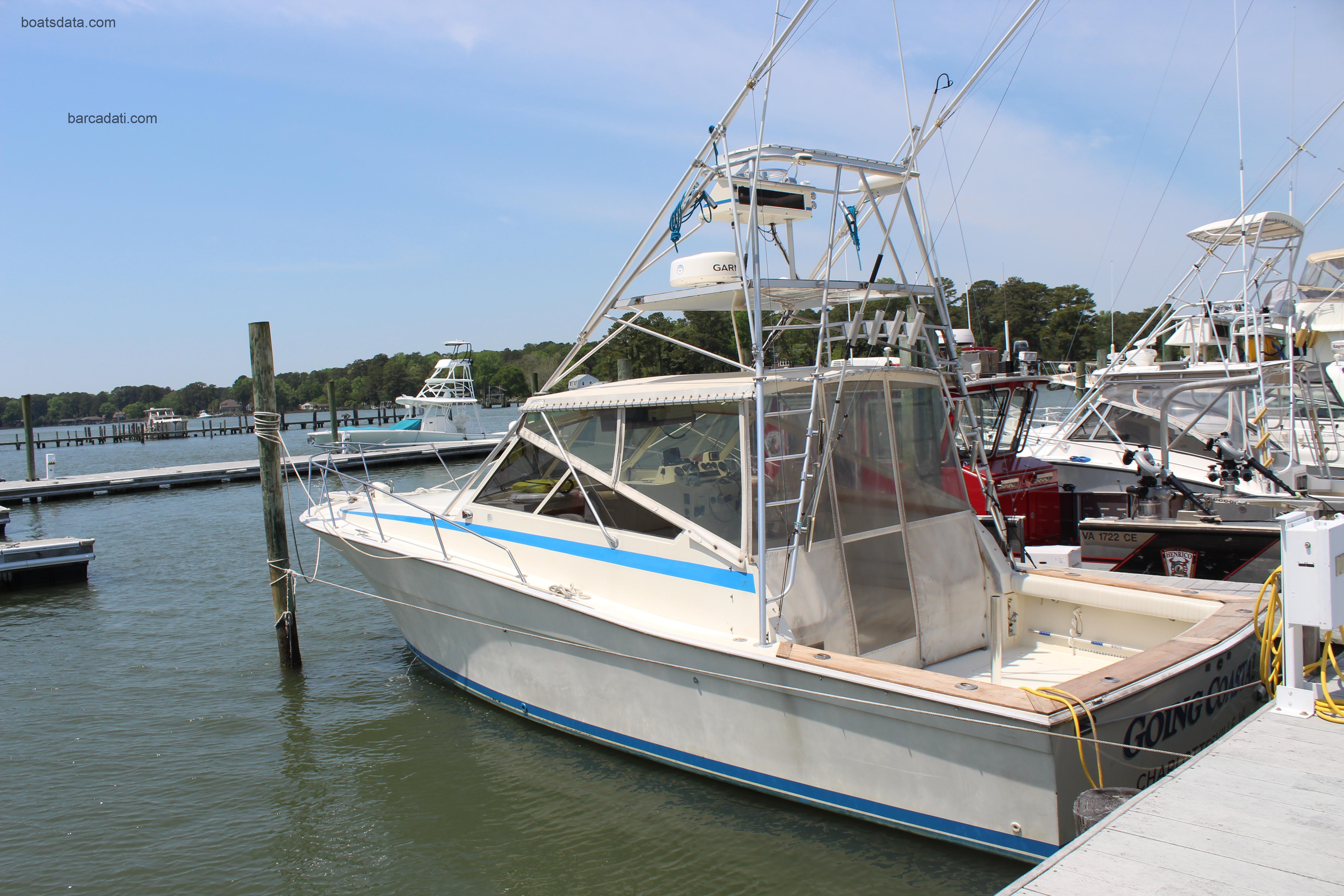 Viking 35 Express recensioni e scheda tecnica