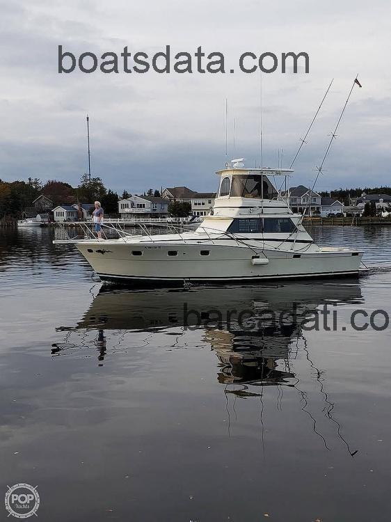 Viking 40 recensioni e scheda tecnica