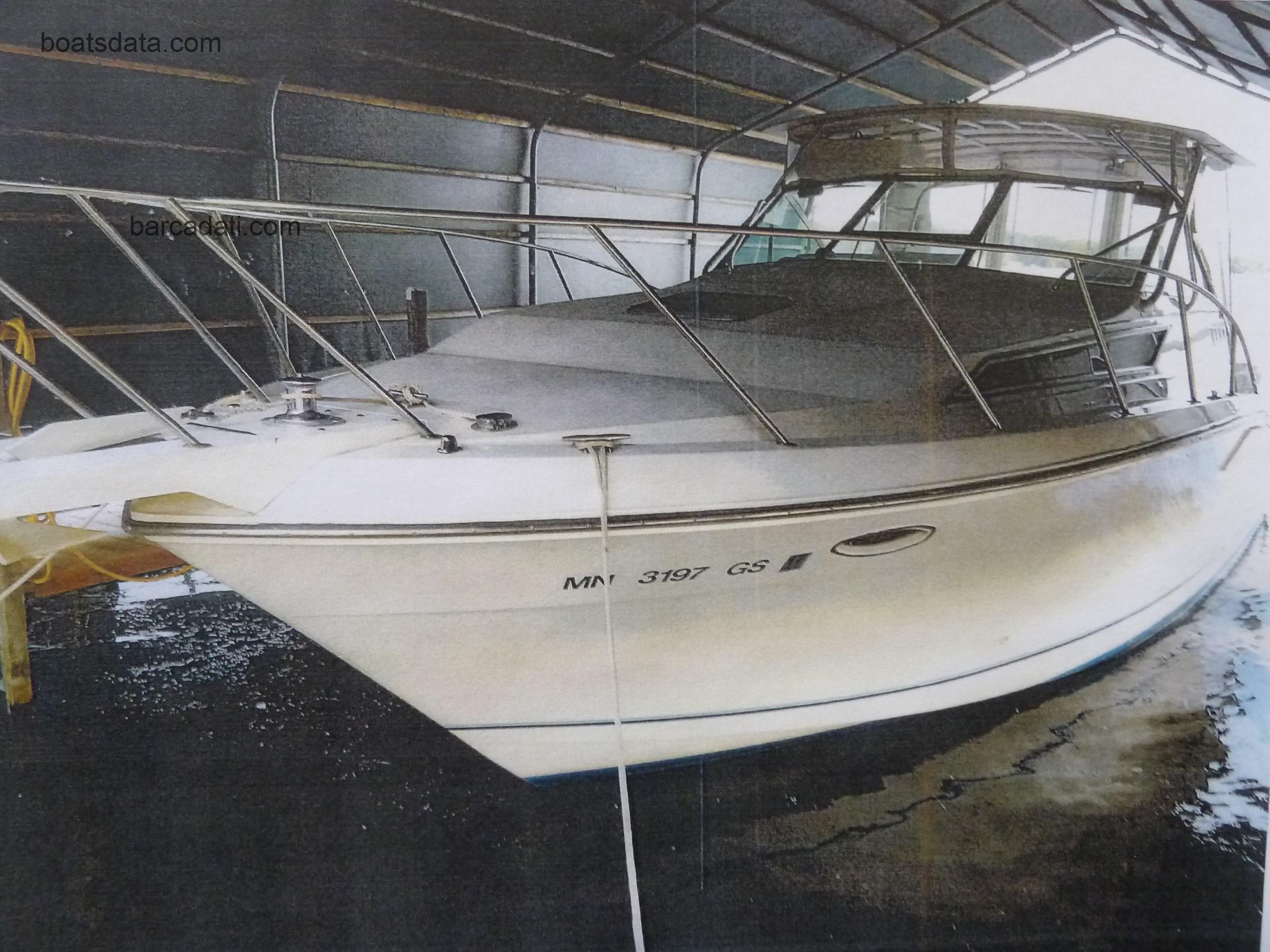 Wellcraft 3300 COASTAL recensioni e scheda tecnica