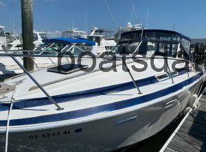 Wellcraft Suncruiser 310 recensioni e scheda tecnica